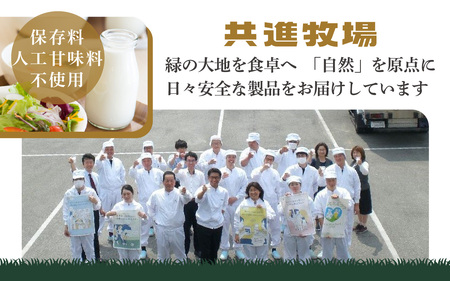 【砂糖不使用】 共進牧場 リッチザヨーグルト 400g×6個 ｜ヨーグルト