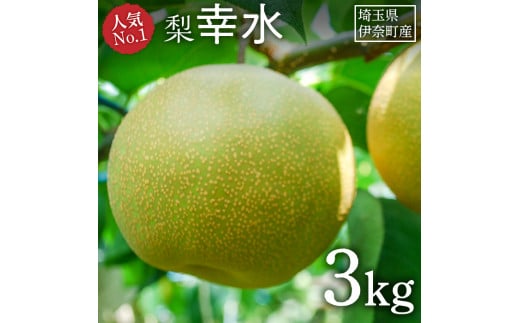 【2026年産先行予約】＼人気No.1／伊奈町産 梨『幸水』3kg  みずみずしい 甘い ジューシー 和梨 なし ナシ 果物 フルーツ 埼玉県