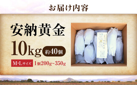 【厳選】熟成安納黄金 10kg 滋賀県長浜市/好作豊吉[AQCF012]