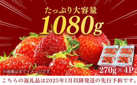 【先行予約！2025年1月中旬より順次発送】産地直送 あまおうDXセット 約1kg いちご イチゴ 苺 フルーツ 果物 旬 福岡県産 広川町/JAふくおか八女農産物直売所どろや[AFAB004]