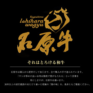 石原牛の赤身焼肉セット(300g) 石原牛 赤身 焼肉用  国産 牛 ウシ 牛肉 焼肉 BBQ バーベキュー ビーフ 冷凍【石原PRO】ishihara-7088