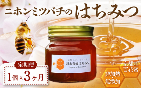 【定期便】 ニホンミツバチのはちみつ 300g×3回 | 蜂蜜 はちみつ ハチミツ 百花蜜