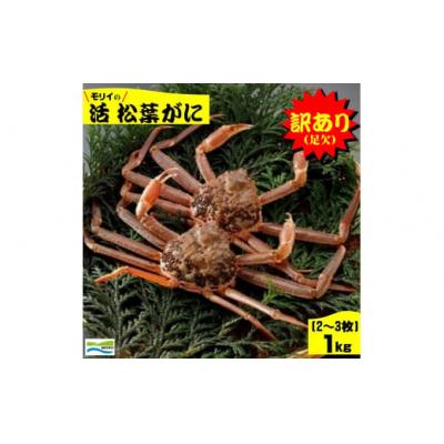 ふるさと納税 米子市 鳥取県産　訳あり(足欠け)活松葉がに1kg(2~3枚)
