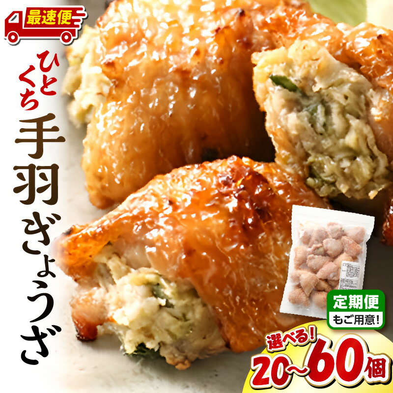【ふるさと納税】【内容量・発送時期が選べる・定期便】ひとくち 手羽 ぎょうざ 20個(1パック)or40個(2パック)or60個(3パック) 餃子 手羽 肉 お肉 手羽先 手羽餃子 宮崎餃子 グルメ おすすめ 惣菜 おかず お弁当 時短調理 名物 宮崎名物 ご当地グルメ ふるさと 冷凍 宮崎市