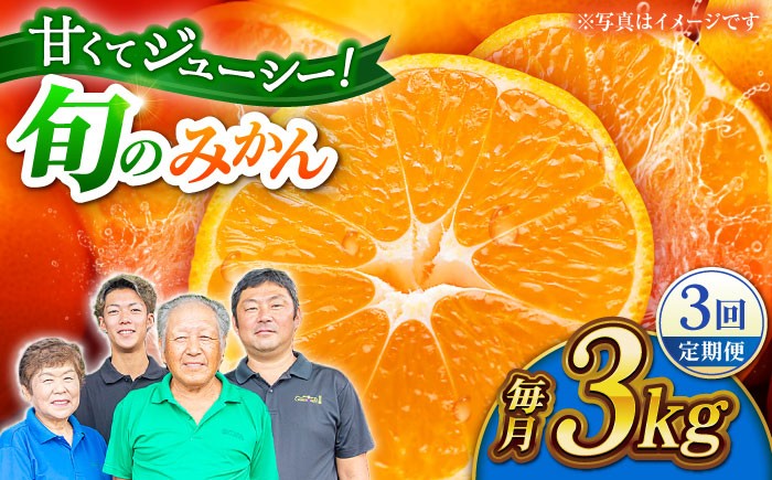 
                  みかん 詰め合わせ 【先行予約】【2回定期便】 家庭用 みかん 約3kg 詰め合わせ 合同会社 社方園 | ミカン 蜜柑 柑橘 フルーツ 果物 定期便 2回 2か月 熊本県 山鹿市 [ZBZ022]
                