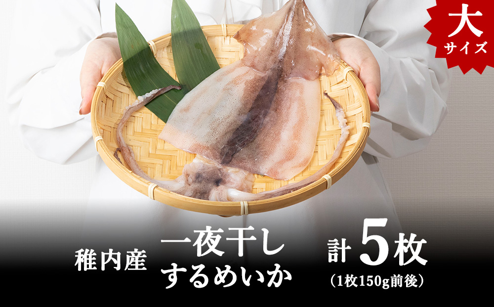 稚内産 するめいか一夜干し　大5枚セット