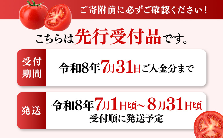 《先行受付》【特選】 清野ファームの高糖度トマト 54玉（約3.5kg）【令和8年7月1日頃～8月31日頃発送】【1800201】