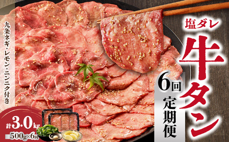 ≪定期便全6回≫【大盛九条ネギ】塩ダレ牛タン500g  牛タン 焼肉 大盛り 九条ネギ セット 味付き 牛肉 肉 塩ダレ牛タン 牛たん タン塩 冷凍 特製 塩だれ 牛タン BBQ アウトドア 定期便 小分け 焼くだけ 簡単 京都府 木津川市 093-T02