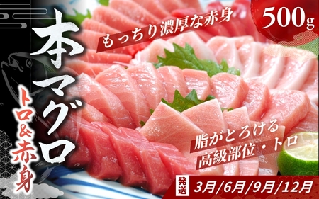 定期便 よくばり定期便 うなぎ ･ 高級和牛 ･ マグロ【tkb104】