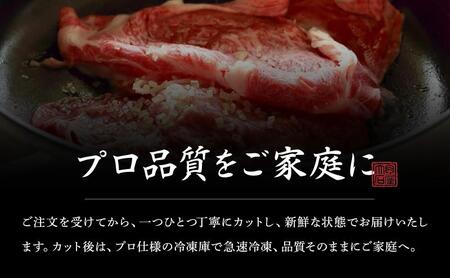 お肉セット 肉屋大石 黒毛和牛 豚肉 鶏肉 お肉セット【定期便2回】