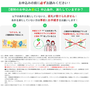 小谷村産 CO2フリーでんき 130,000 円コース（注：お申込み前に条 件を必ずご確認ください） ／中部電力ミライズ 電気 長野県 小谷村