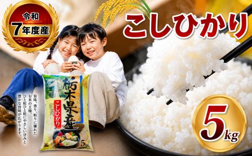 【栃木県共通返礼品】【令和7年度産】 栃木県産 こしひかり 白米 5kg  | 発送 ふるさと 納税 コシヒカリ お米 精米 白米 玄米 大粒 共通返礼品 送料無料 那珂川町 栃木県