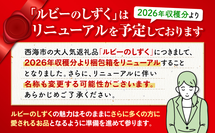 【2025年収穫分先行予約】【 訳あり 】 大島トマト 特選「ルビーのしずく」約1.2kg【数量限定】＜大島造船所 農産グループ＞ [CCK025]
