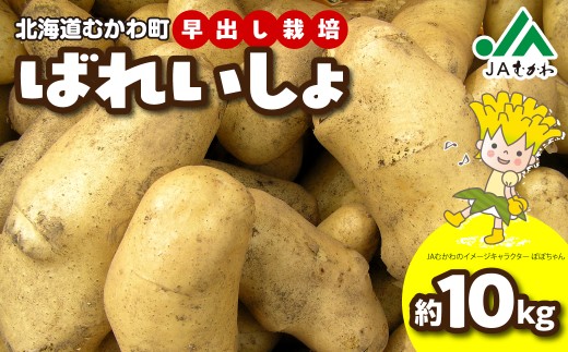 ＜2026年8月上旬より発送＞ばれいしょ 【 ふるさと納税 人気 おすすめ ランキング  馬鈴薯 バレイショ 芋 いも じゃがいも ジャガイモ 野菜 こだわり ご当地 むかわ 鵡川 北海道 むかわ町 送料無料 】 MKWAL2001