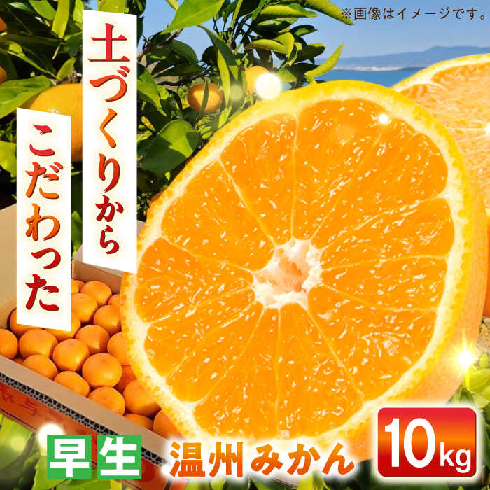 【ふるさと納税】【自然の力を活かした栽培】温州みかん（早生） 10kg -2025年11月中旬より発送- 長与町/農事組合法人希望種（きぼうのたね）[ECQ004] 先行予約 温州 みかん ミカン 蜜柑 柑橘 早生 除草剤不使用 長崎県 長与町 フルーツ 果物 旬 お取り寄せ こだわり 甘い