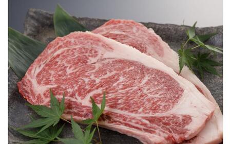 【全6回定期便】肥後の赤牛 ロースステーキ 約500ｇ【阿蘇牧場】[AYBX094]