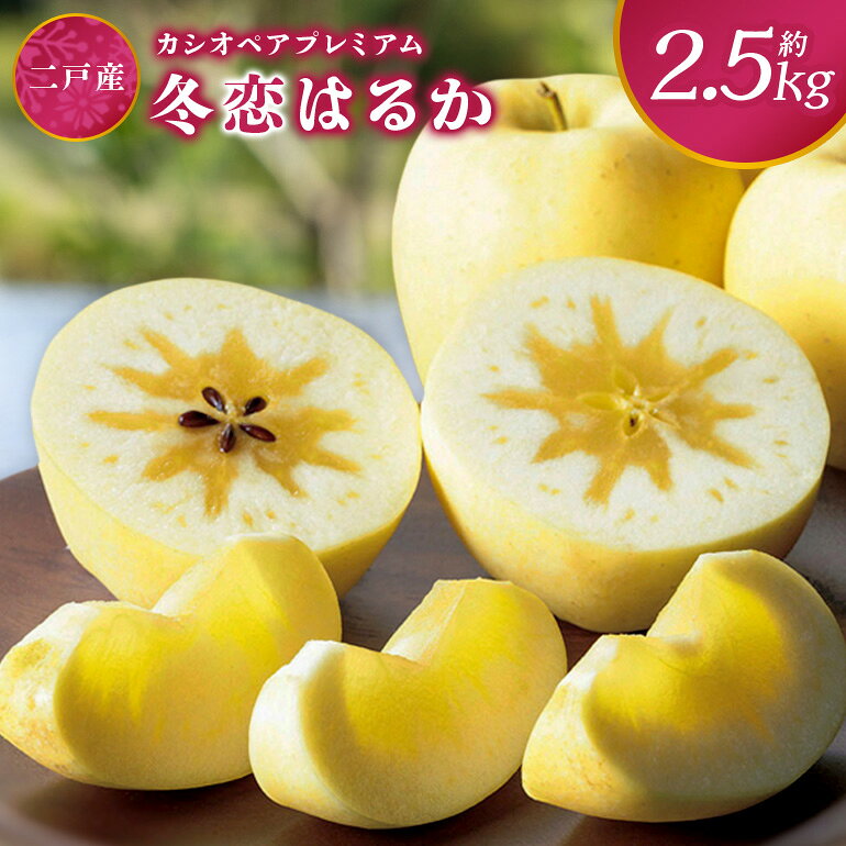 【ふるさと納税】 二戸産 カシオペア プレミアム冬恋はるか 約2.5kg 【2026年12月上旬-下旬発送予定】 002-0747x1