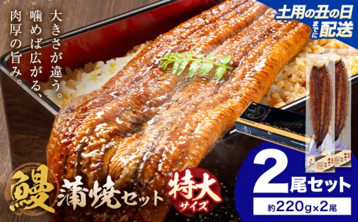 【土用の丑の日】＼特大サイズ／ 鹿児島県産 鰻蒲焼真空セット！2尾  タレ・山椒付！ 株式会社薩摩川内鰻 《7月中旬-7月下旬頃出荷》  鹿児島県 さつま町 送料無料 ウナギ 丑の日 うなぎ 刻み グルメ 特大 鰻 蒲焼 真空