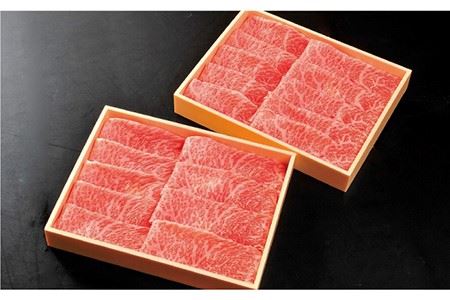【国内最高級の和牛】佐賀牛モモスライス500g [FCH001]