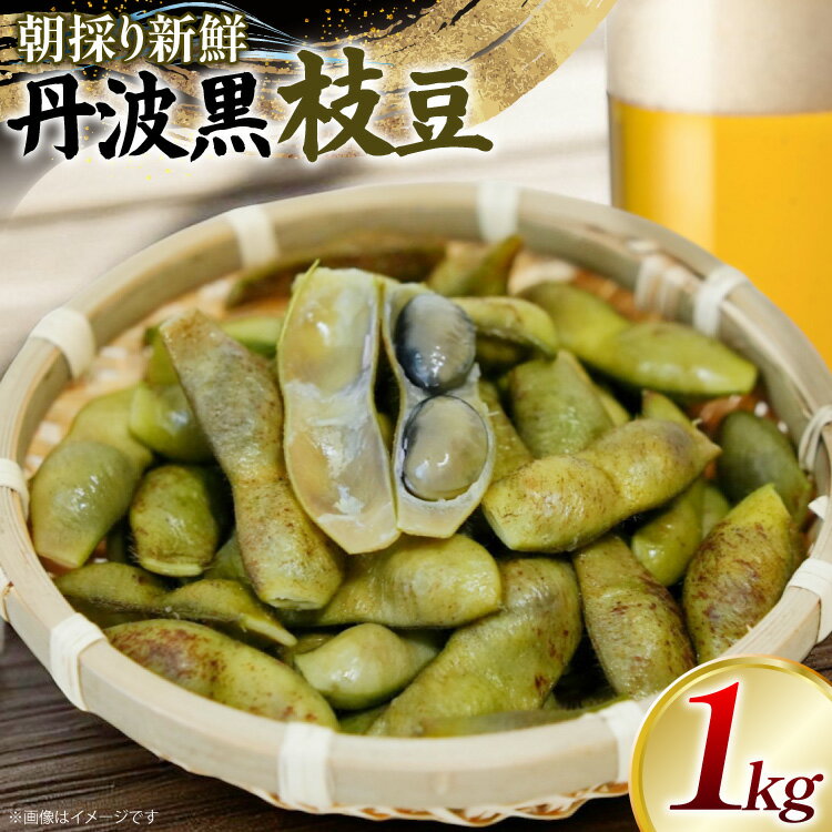 【ふるさと納税】 丹波黒 枝豆 1kg【2025年10月前半〜10月後半配送】 [SSSファーム 兵庫県 三田市 3d28bed520001] 枝豆 えだまめ 丹波 黒枝豆 黒豆 国産 野菜 おつまみ