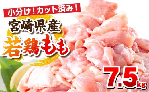 【3月発送予定】宮崎県産若鶏 もも肉 7.5kg(250g×30パック)_M146-008_03_mar