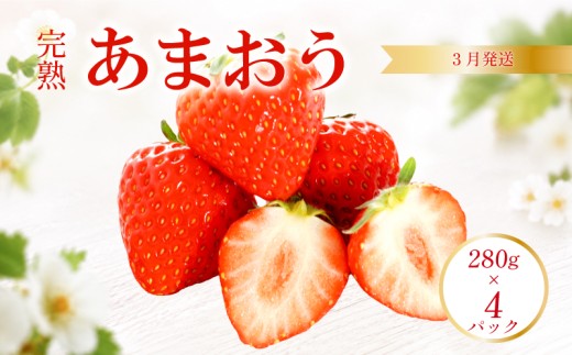 【2027年3月発送予定】先行予約! 数量限定 福岡産 あまおう ichigo strawberry itigo 約1120g 約280×4パック セット いちご 苺 イチゴ フルーツ 果物 くだもの 春 旬 福岡 九州 福岡県 柳川市 辻園芸