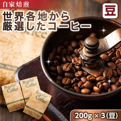 ふるさと納税 釧路町 ベンデドール 自家焙煎 珈琲豆 店主おまかせ プレミアム コーヒーセット　200g×3個　【豆】