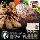 【ふるさと納税】【訳あり】鹿児島県産黒毛和牛「小田牛」 おかず2種セット（餃子＆ハンバーグ） 牛肉 総菜 おかず 黒毛和牛 和牛日本一 ぎょうざ ギョウザ ハンバーグステーキ 小田畜産 冷凍 南さつま市 送料無料