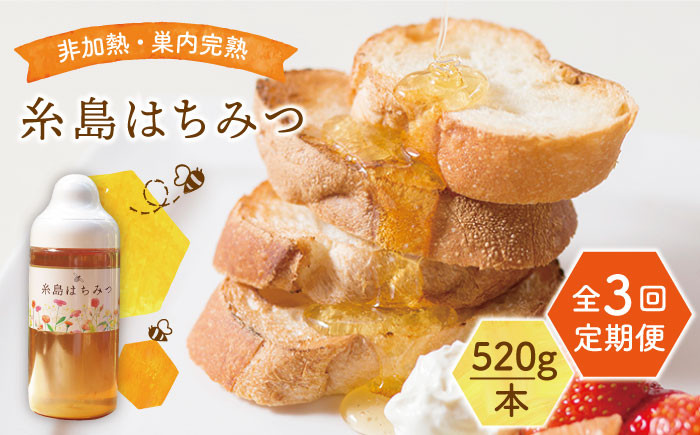 
                  【全3回定期便】糸島 はちみつ 520g 糸島市 / ヴァンベールフーズ /百花 / 蜂蜜 [AFJ005]
                