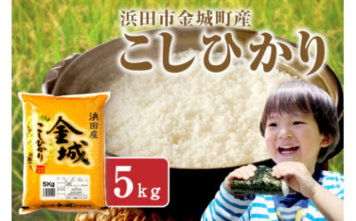 【令和6年産】浜田市金城町産こしひかり　５Ｋｇ 米 お米 精米 白米 5キロ 新生活 応援 準備 【1623】