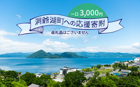 寄附 洞爺湖町 応援受付 返礼品なし 寄附【3,000円コース】