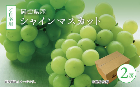 真庭市産 シャインマスカット 自宅用 2房 / 【2025年9月中旬以降発送予定】数量限定 ブドウ ぶどう お手頃 訳あり 岡山 真庭 マスカット 葡萄 果物 フルーツ 新鮮 産地直送 家庭用 人気 種なし 【配送不可地域：北海道・沖縄県・離島】 (shinemuscat06) 【jujiya011】