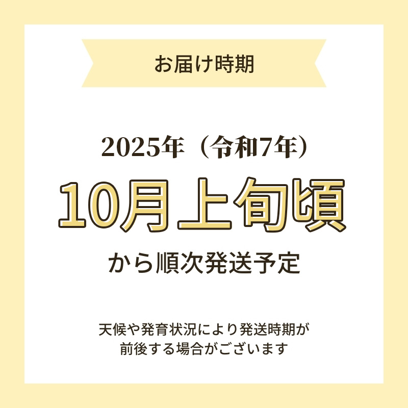 【新米予約】【無洗米】特別栽培米サキホコレ4kg(2kg×2）と無添加サキホコレみそ500gセット 令和7年産 秋田県 にかほ市 お米 米 こめ 新米 無洗米 みそ
