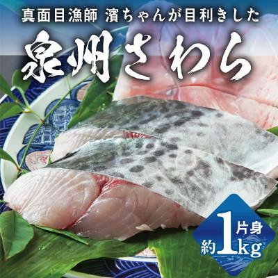 ふるさと納税 泉佐野市 泉州さわら 片身 約1kg G2188-3