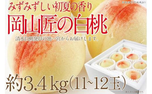 CN51【2025年先行予約】訳あり家庭用 白桃 匠の白桃 3.4kg(11～12玉) 【岡山県産 一宮産 みずみずしい 季節の味 旬をお届け フレッシュ 晴れの国 おかやま 果物大国 もぎたて便 犬塚農園からお届け 当日出荷 岡山県 倉敷市 おすすめ 人気】