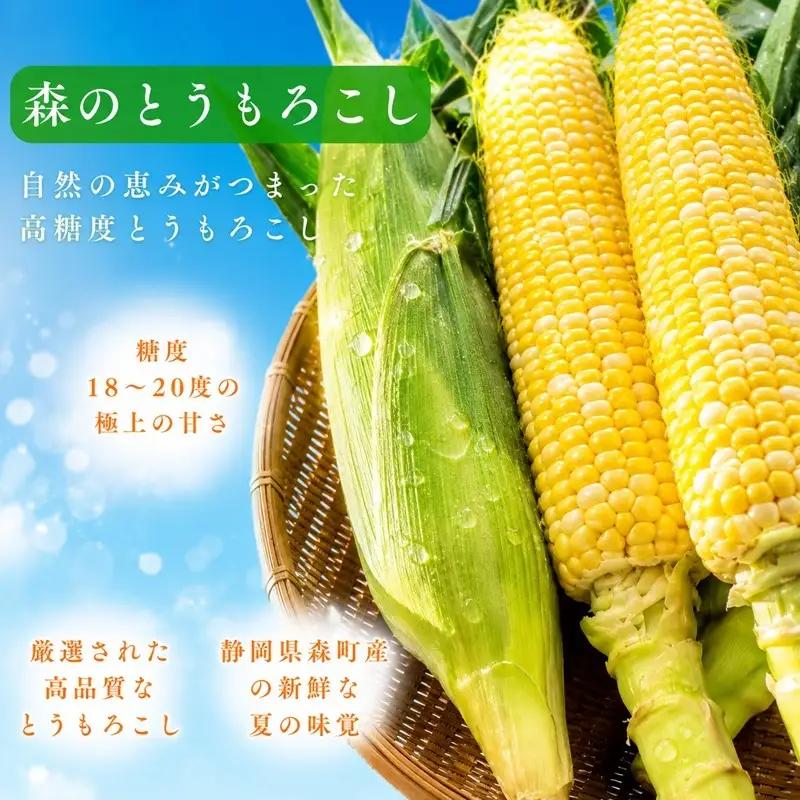とうもろこし 甘々娘 9～11本 森町 とうもろこし