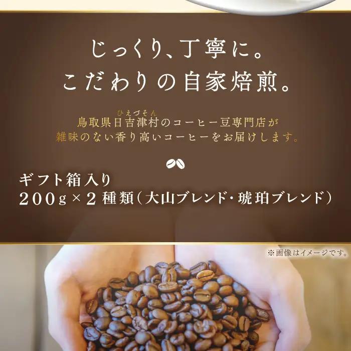 自家焙煎コーヒー（粉）ギフト箱入り　400g（200g×2種）【大山ブレンド 琥珀ブレンド コーヒー 珈琲 自家 焙煎 飲み比べ 400g 粉 コーヒー粉 ギフト 贈答 箱入り プレゼント 飲料 鳥取