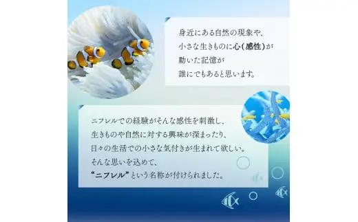 【3カ月ごとお届け】ニフレル入館券 大人2枚 全4回 