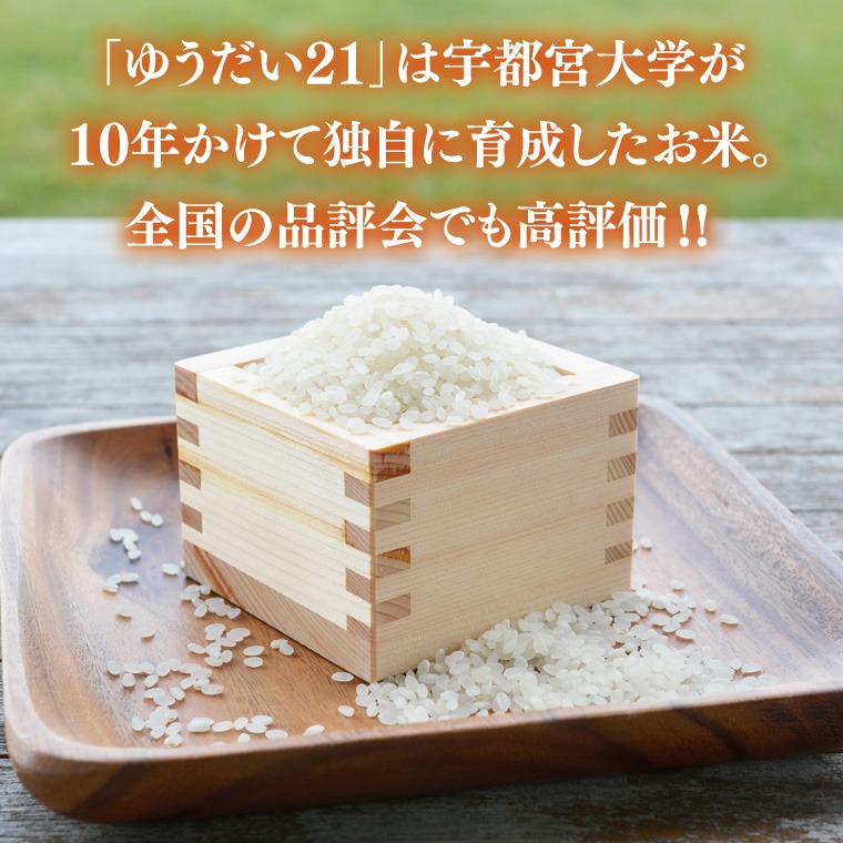 米 5kg 白米 「ゆうだい21」 ＼先行予約／ 山﨑観光農園 栃木県 益子町 ふるさと納税 お米 ゆうだい21 白米 精米 5キロ 令和7年産 先行予約 10月配送 (AU006)