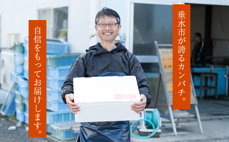 【鹿児島県垂水市産】カンパチ（半身）　甘口さしみ醤油付き