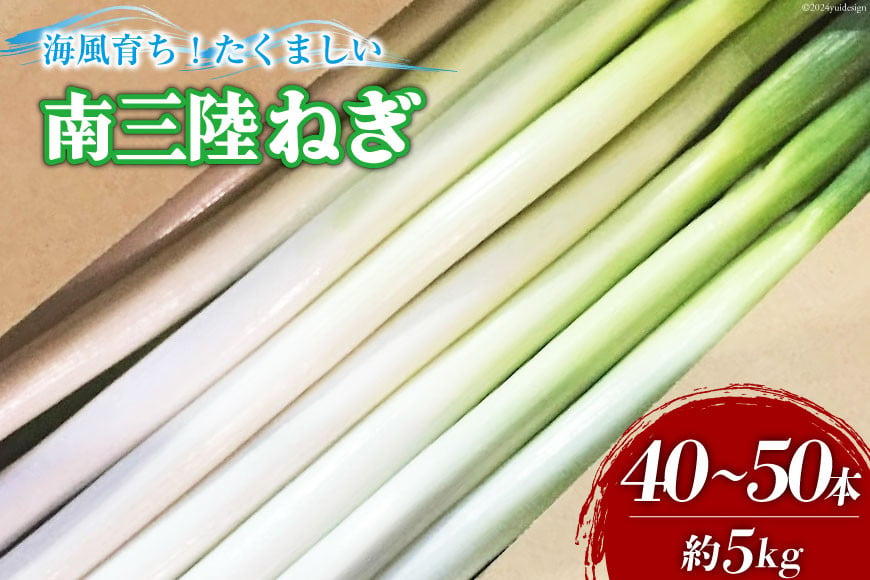 【期間限定発送】野菜 南三陸ねぎ 40〜50本 5kg前後 [グリーンファーマーズ・宮城 宮城県 南三陸町 30be0001] ねぎ 長ネギ 長ねぎ 期間限定