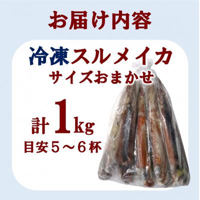 ふるさと納税 普代村 三陸水産 冷凍スルメイカ 約1kg (5〜6杯程度) |  | 03