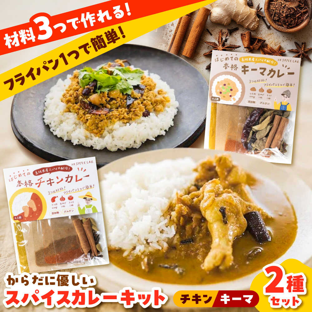 【ふるさと納税】【人気No.1!】食べ比べ カレーキット（全12人前） チキンカレー（4人前×2セット）キーマカレー（4人前×1セット）本格 無添加 カレースパイス 島根県雲南市/出雲SPICE LAB.[AIAD003]