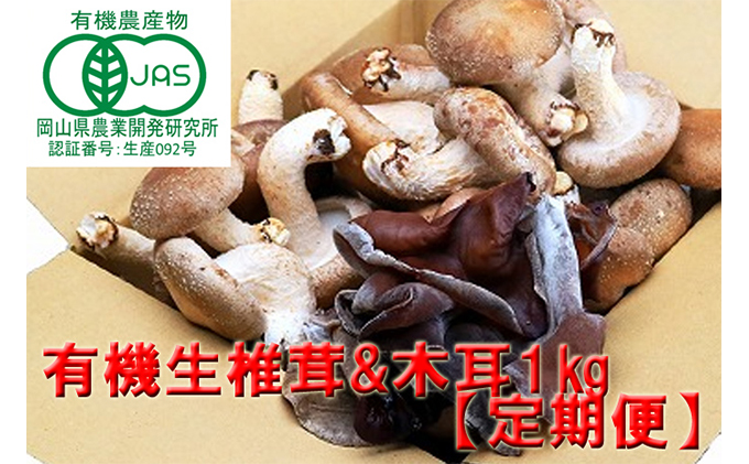 【 産地直送 】 有機JAS 生椎茸 800g ＆ 生きくらげ 200g 定期便 3ヶ月 オーガニック しいたけ 椎茸 きくらげ きのこ 野菜 岡山県 玉野市 栽培期間中化学肥料不使用 栽培期間中農薬不使用 野菜セット 