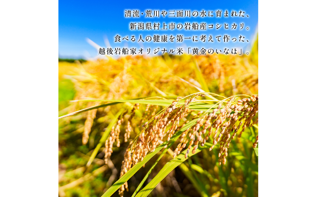 【新米受付・令和8年産米】自然豊かな風土が育んだ新潟県村上市岩船産コシヒカリ15kg（5kg×3袋）NC4023