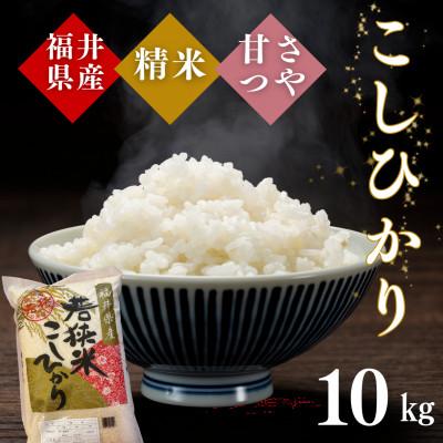 ふるさと納税 小浜市 令和7年産　福井県産こしひかり白米10kg