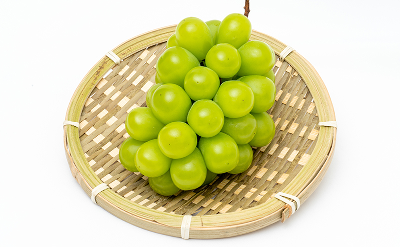 ぶどう 2024年 先行予約 晴れの国 岡山の シャイン マスカット 晴王 定期便 2回(各1房600g以上) 葡萄  岡山県産 国産 フルーツ ギフト