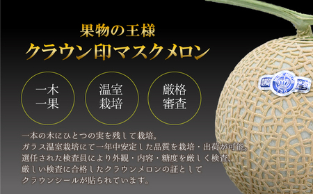 メロン 山等級 4kg以上 1玉 フルーツ 果物 メロン
