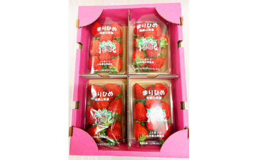 【来シーズン先行予約】紀州和歌山ブランドいちご「まりひめ」約250g×4P ※2027年1月上旬頃～3月上旬頃に順次発送予定【uot758A】