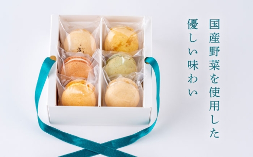 マカロン6個セット　よこすかfarmersSelection マカロン　お菓子　スイーツ 野菜　【マカルース】 [AKGS001]